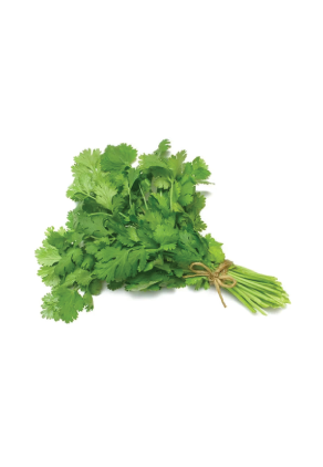 Coriander